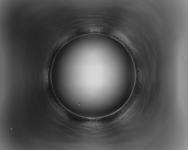 X0000088660537200705251524