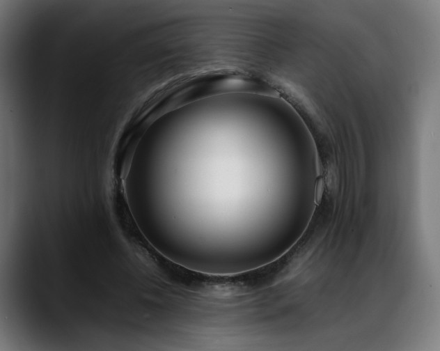 X0000088660540200705251524