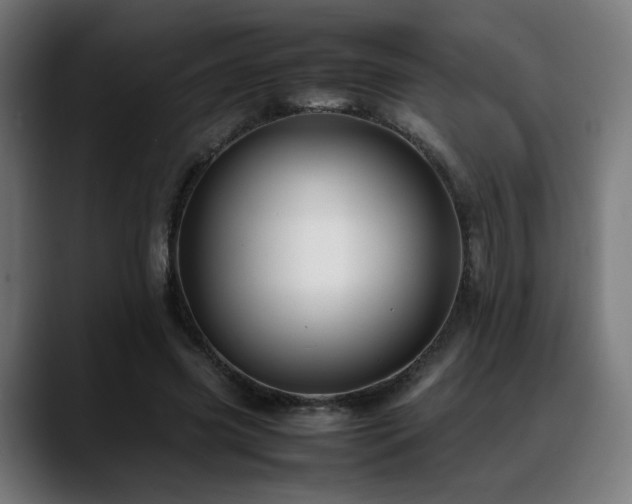 X0000088660541200705251524