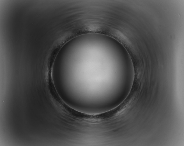 X0000088660542200705251524