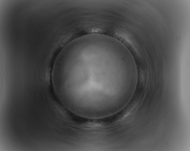 X0000088660545200705251524