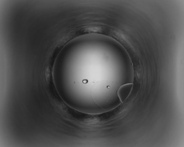 X0000088660551200705251524