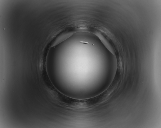 X0000088660552200705251524