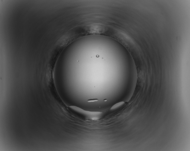 X0000088660554200705251524