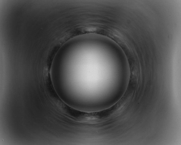 X0000088660555200705251524