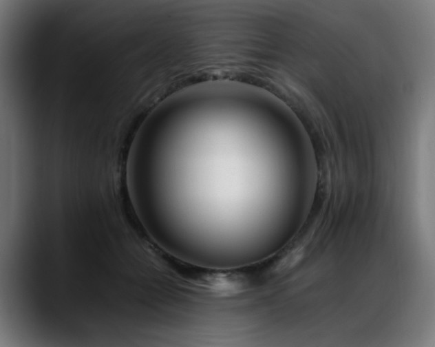 X0000088660558200705251524