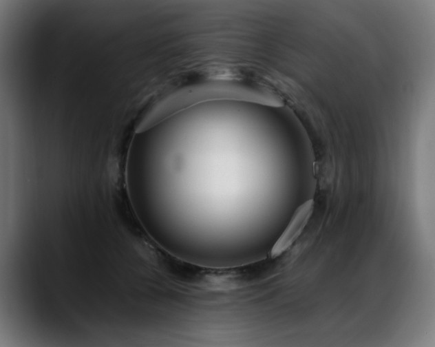 X0000088660560200705251524