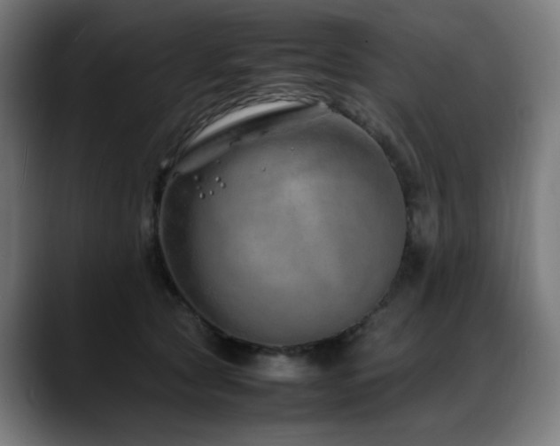 X0000088660561200705251524