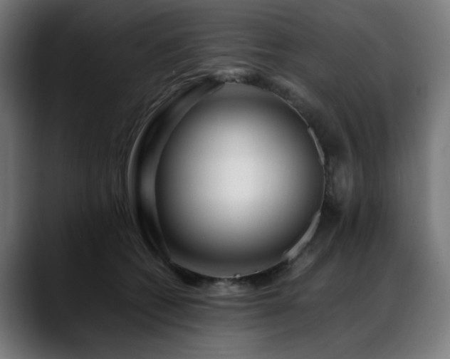 X0000088660562200705251524