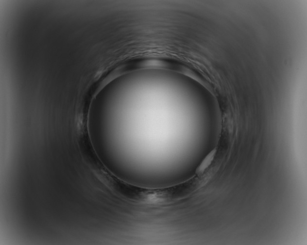 X0000088660564200705251524