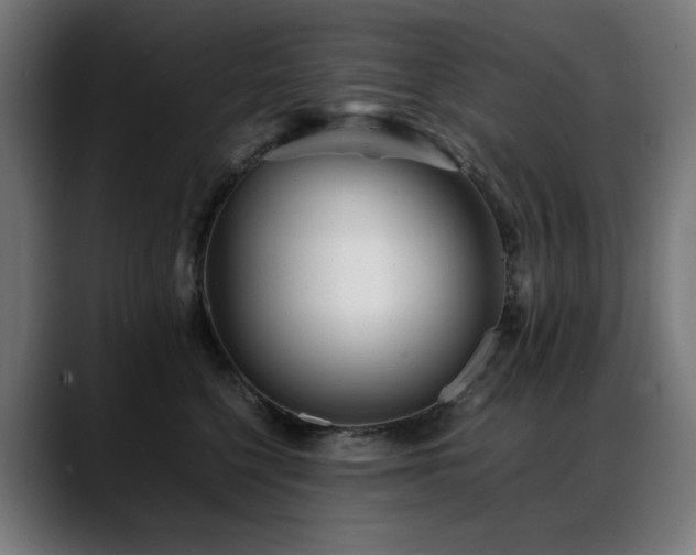 X0000088660568200705251524