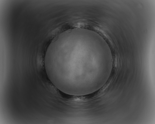 X0000088660569200705251525