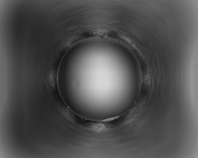 X0000088660572200705251525