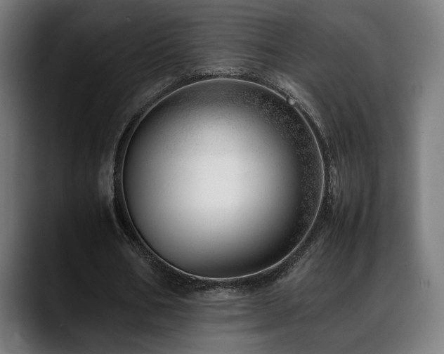 X0000088660578200705251524