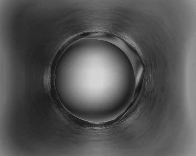 X0000088660580200705251524