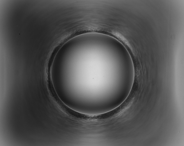 X0000088660581200705251524