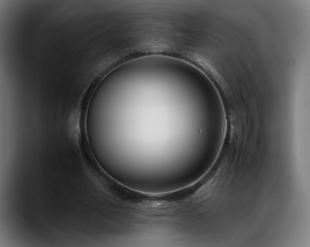 X0000088660582200705251524