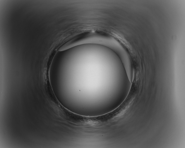 X0000088660585200705251524