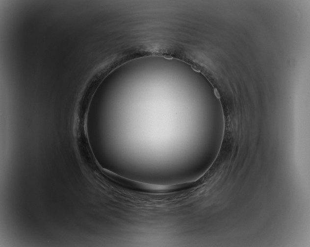 X0000088660587200705251524