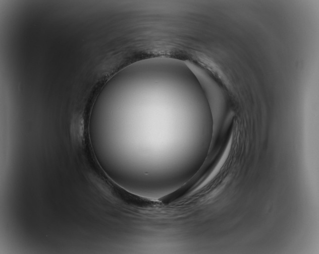 X0000088660589200705251524