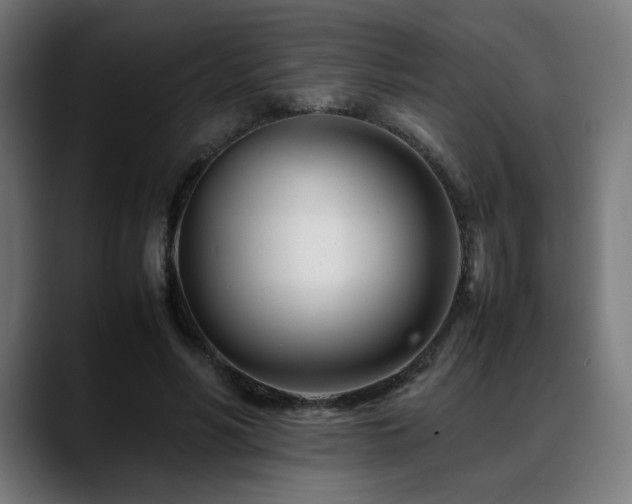 X0000088660590200705251524