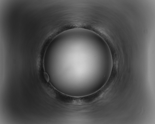 X0000088660591200705251524