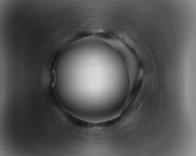 X0000088660593200705251524