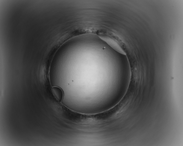 X0000088660594200705251524