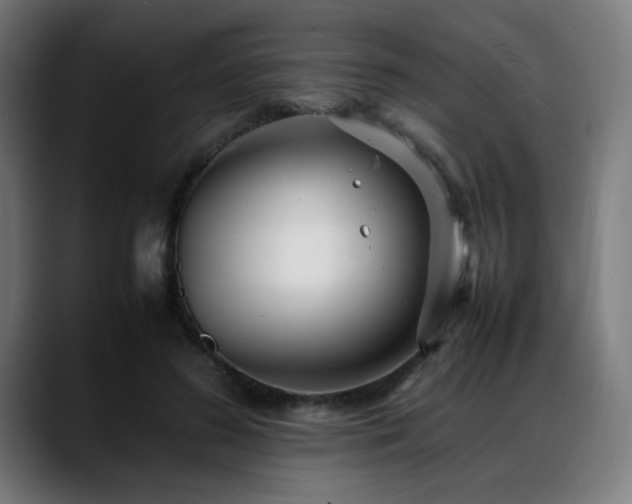 X0000088660596200705251524