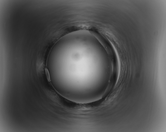 X0000088660597200705251524