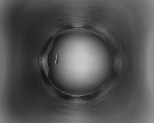 X0000088660598200705251524