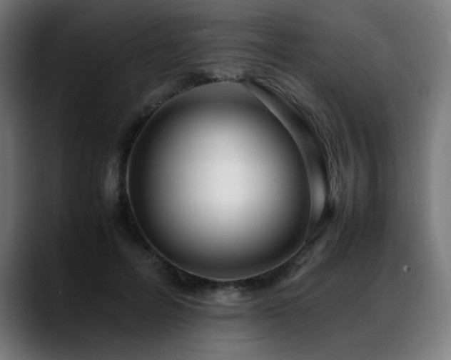 X0000088660600200705251524