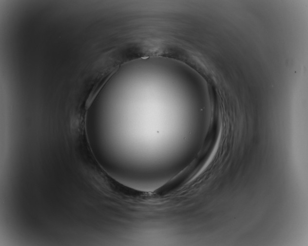 X0000088660601200705251524