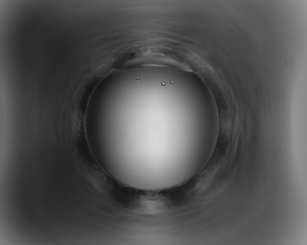 X0000088660603200705251524