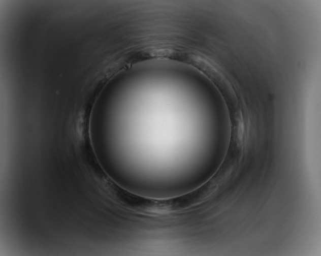 X0000088660604200705251524