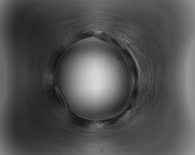 X0000088660613200705251523