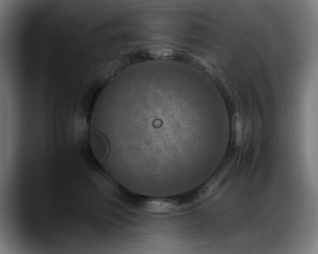 X0000088660614200705251523