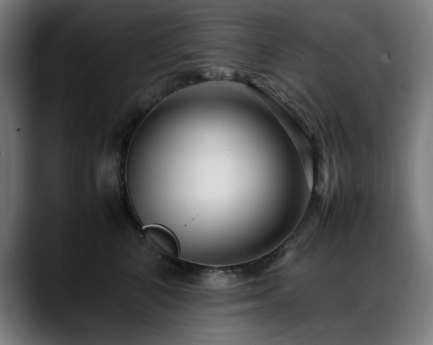 X0000088660616200705251523