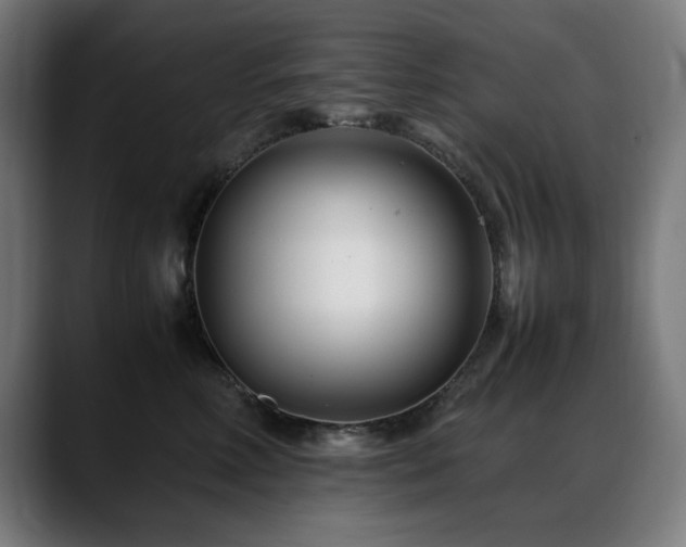 X0000088660618200705251523