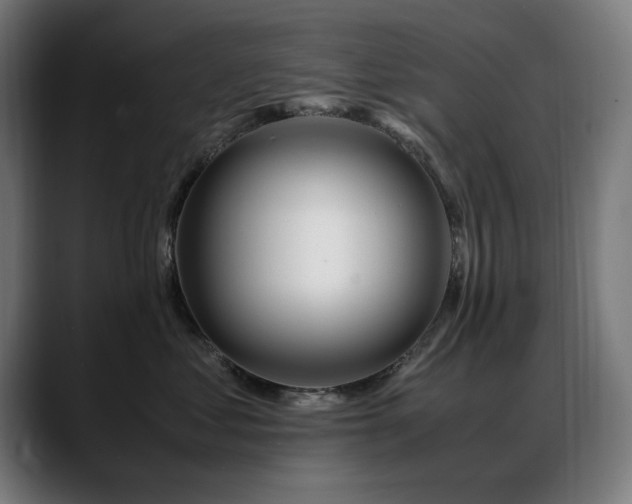 X0000088660621200705251523