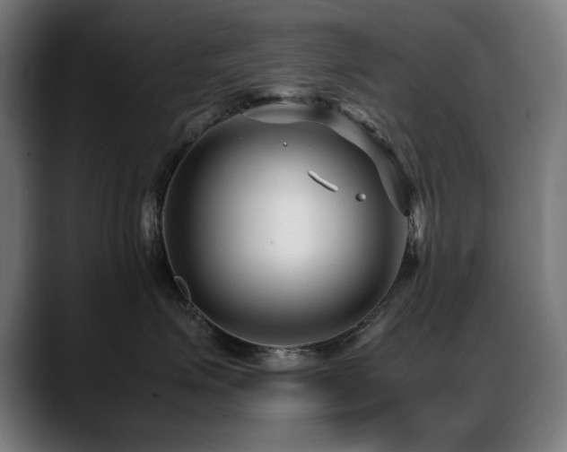 X0000088660623200705251523