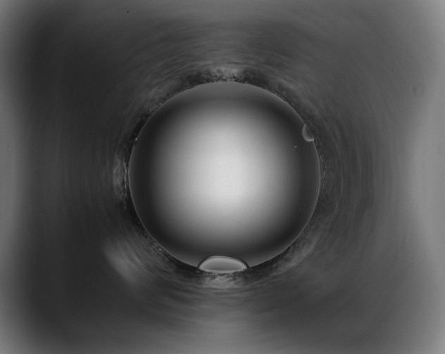 X0000088660624200705251523