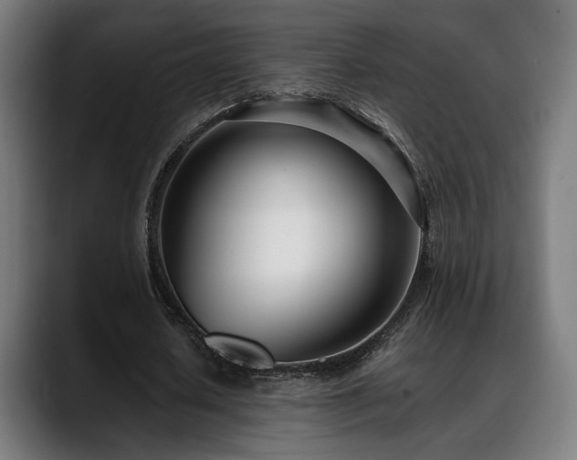 X0000088660626200705251523