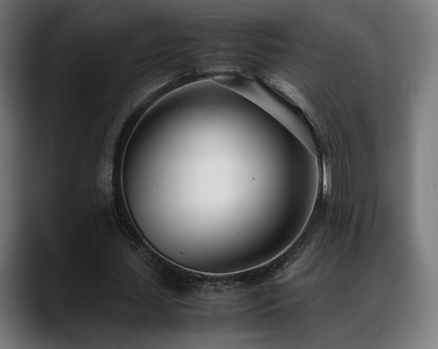 X0000088660627200705251523