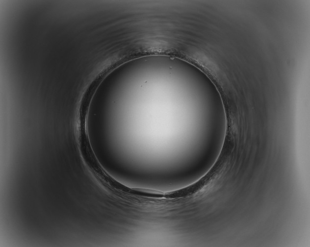 X0000088660630200705251523