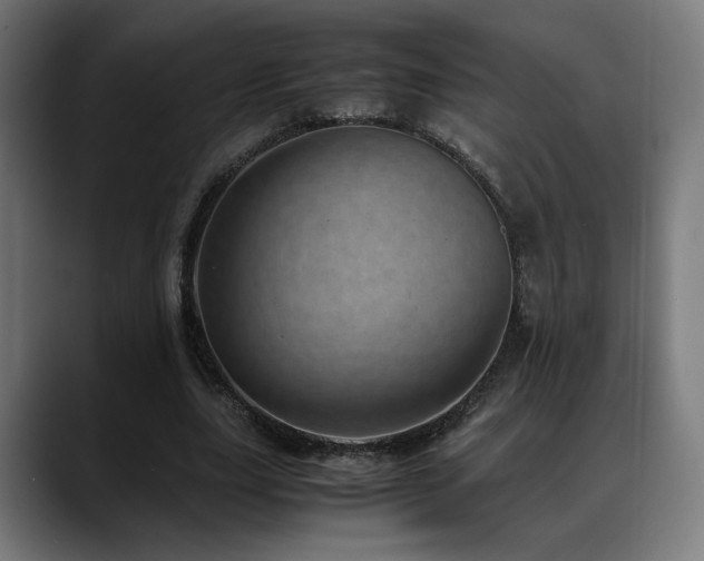 X0000088660631200705251523