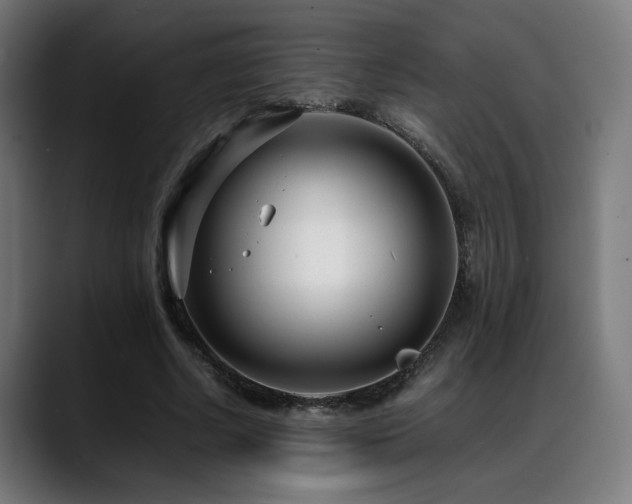 X0000088660634200705251523