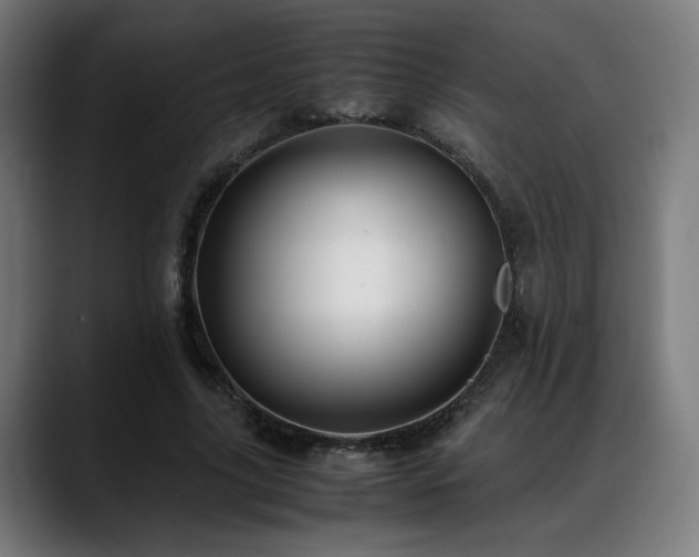 X0000088660635200705251523