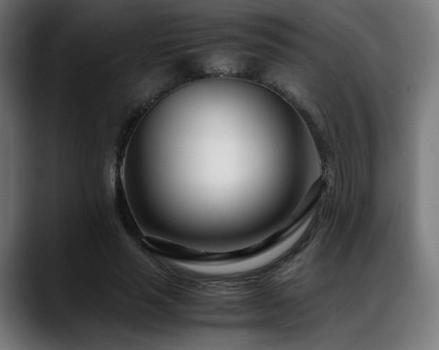 X0000088660637200705251523