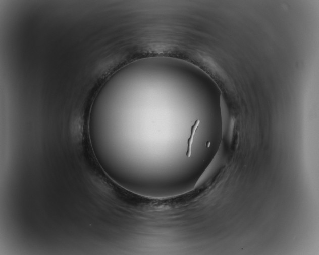 X0000088660640200705251523